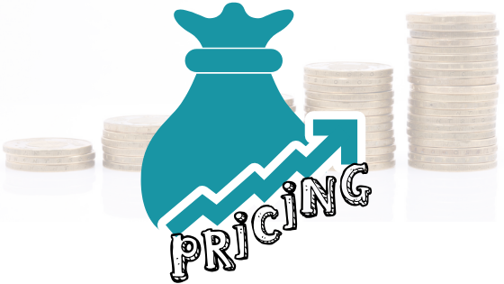 Pricing for Business Success. Blog. Consultancy and Coaching